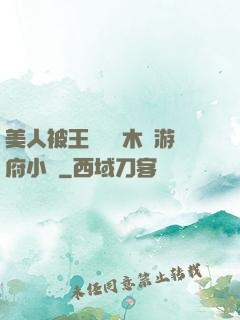 美人被王爺罰騎木驢游府小說