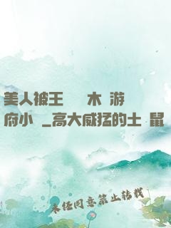 美人被王爺罰騎木驢游府小說