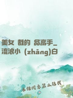 美女總裁的極品高手