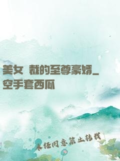 美女總裁的至尊豪婿