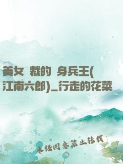 美女總裁的貼身兵王(江南六郎)