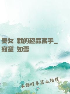 美女總裁的超品高手
