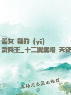 美女總裁的醫(yī)武兵王