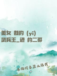 美女總裁的醫(yī)武兵王
