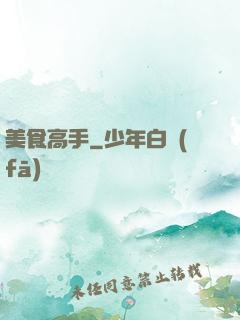 美食高手