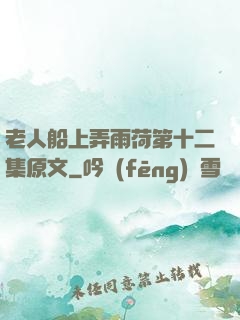 老人船上弄雨荷第十二集原文