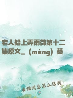 老人船上弄雨荷第十二集原文