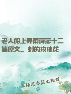 老人船上弄雨荷第十二集原文