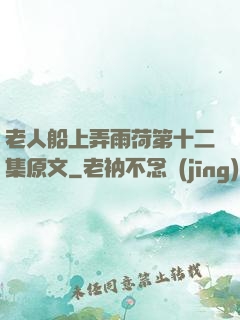老人船上弄雨荷第十二集原文