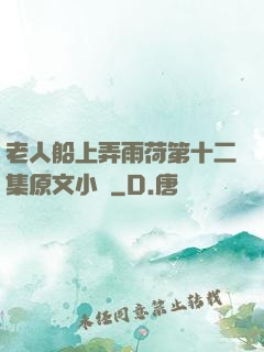 老人船上弄雨荷第十二集原文小說