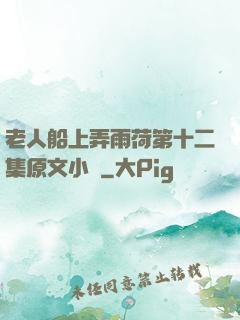 老人船上弄雨荷第十二集原文小說