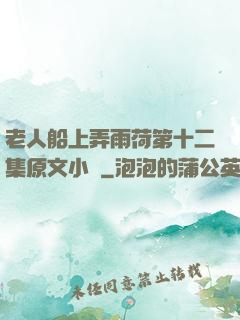 老人船上弄雨荷第十二集原文小說