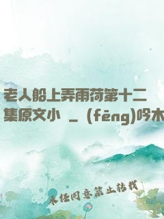 老人船上弄雨荷第十二集原文小說