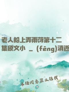 老人船上弄雨荷第十二集原文小說