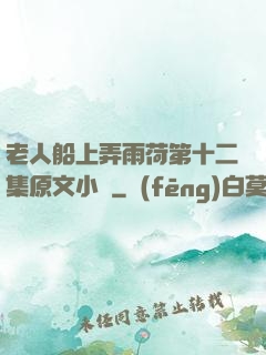老人船上弄雨荷第十二集原文小說