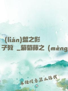 聯(lián)盟之影子教練