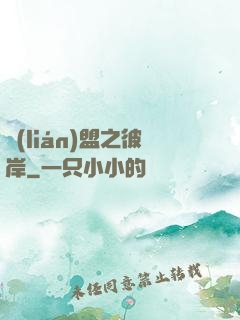 聯(lián)盟之彼岸