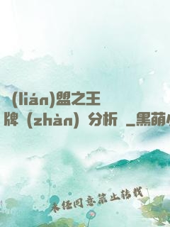 聯(lián)盟之王牌戰(zhàn)隊分析師