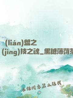 聯(lián)盟之競(jìng)技之魂