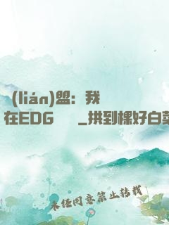 聯(lián)盟：我在EDG當廠長