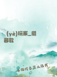 職業(yè)玩家