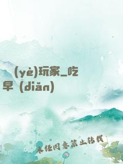 職業(yè)玩家