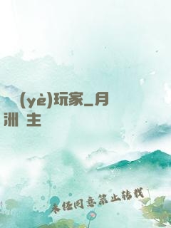 職業(yè)玩家