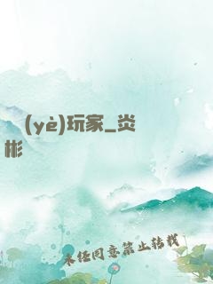 職業(yè)玩家