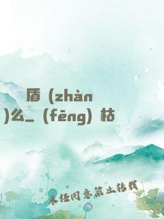 聽說過盾戰(zhàn)么