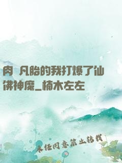 肉體凡胎的我打爆了仙佛神魔
