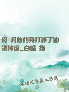 肉體凡胎的我打爆了仙佛神魔