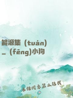 能源集團(tuán)