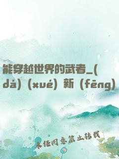能穿越世界的武者