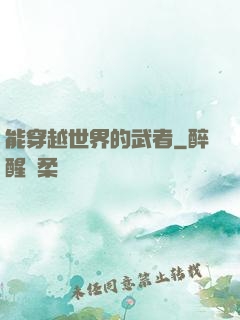 能穿越世界的武者