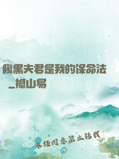 腹黑夫君是我的保命法寶