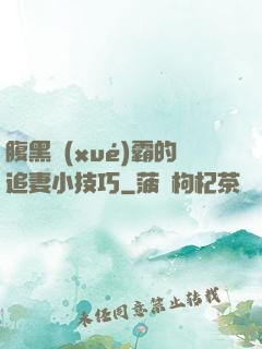 腹黑學(xué)霸的追妻小技巧
