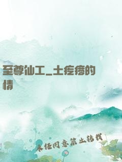 至尊仙工