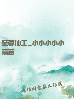 至尊仙工