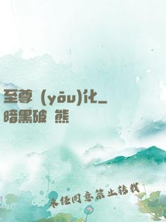 至尊優(yōu)化