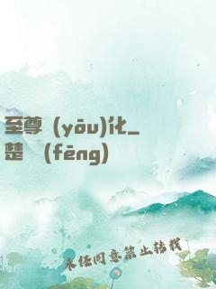 至尊優(yōu)化
