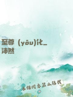 至尊優(yōu)化