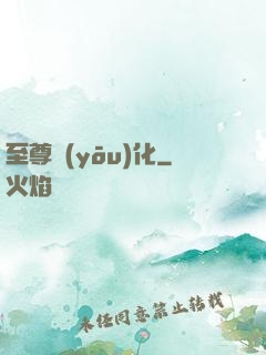 至尊優(yōu)化