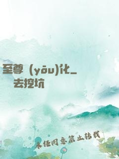 至尊優(yōu)化