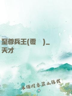 至尊兵王(零點風)