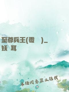 至尊兵王(零點風)
