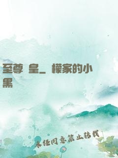 至尊劍皇