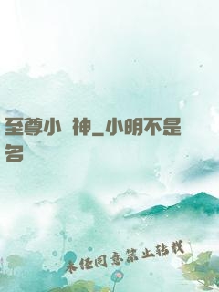 至尊小廚神
