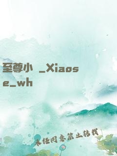 至尊小廝
