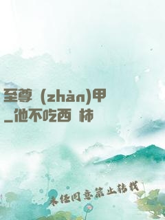 至尊戰(zhàn)甲