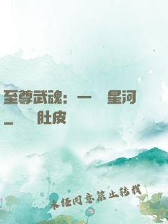 至尊武魂：一葉斬星河